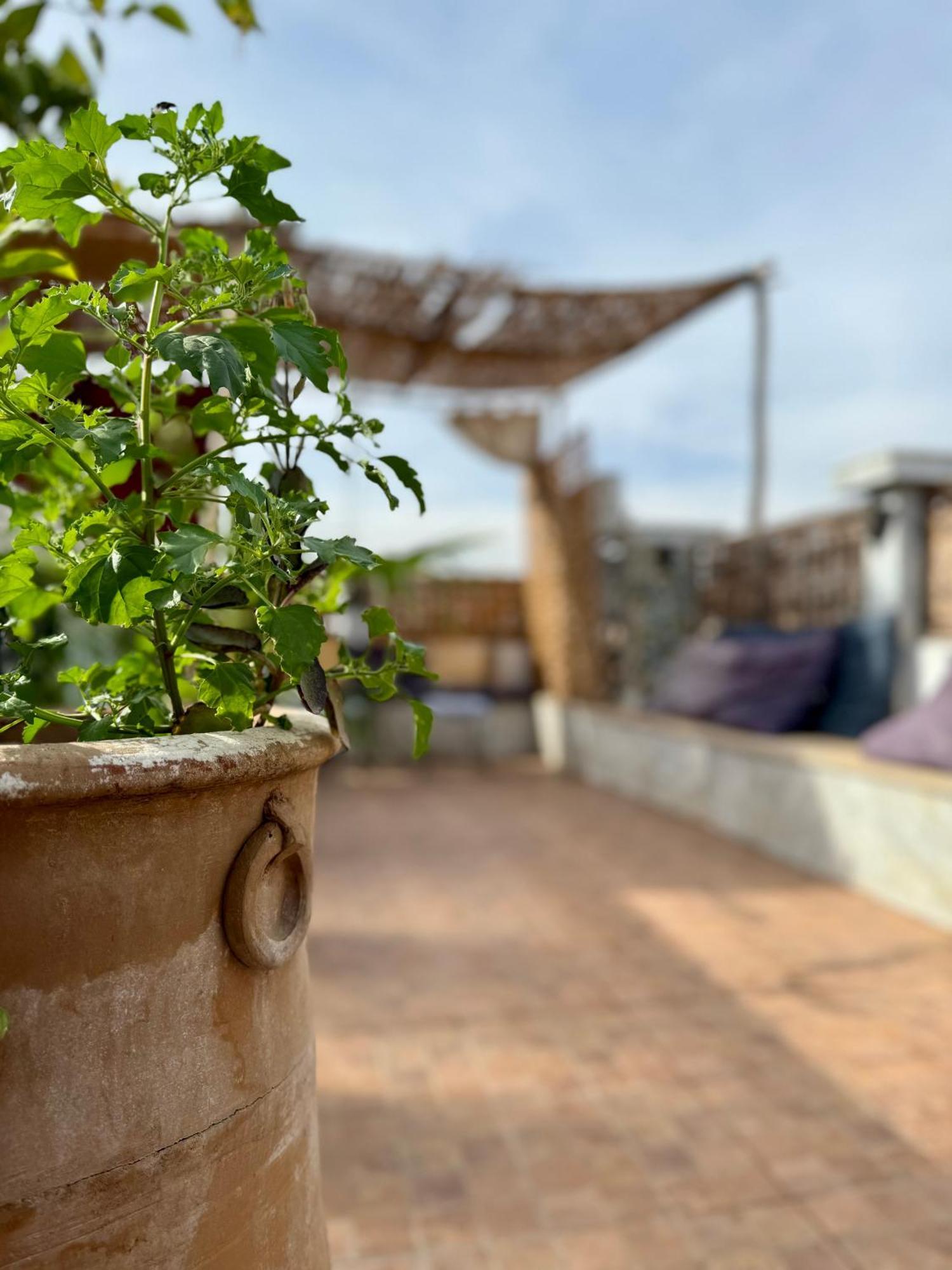 Riad Flottement Des Songes Marrakesz Zewnętrze zdjęcie